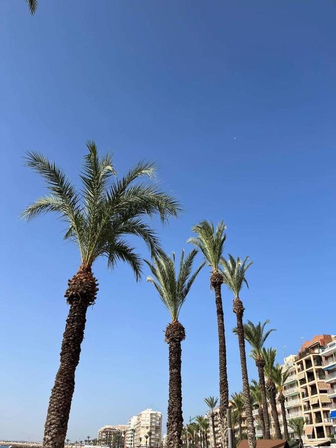 Uroczy Apartament Przy Playa De Los Locos Τορεβιέχα Εξωτερικό φωτογραφία